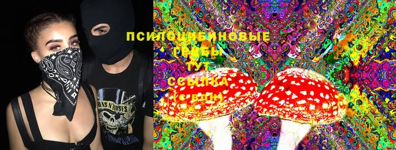 Галлюциногенные грибы MAGIC MUSHROOMS  Волгореченск 